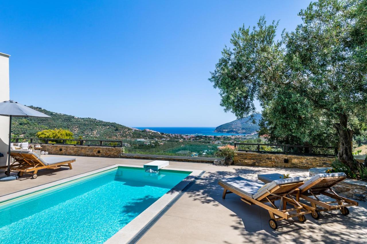 Villa Antigone Luxury Retreat 斯科派洛斯 外观 照片