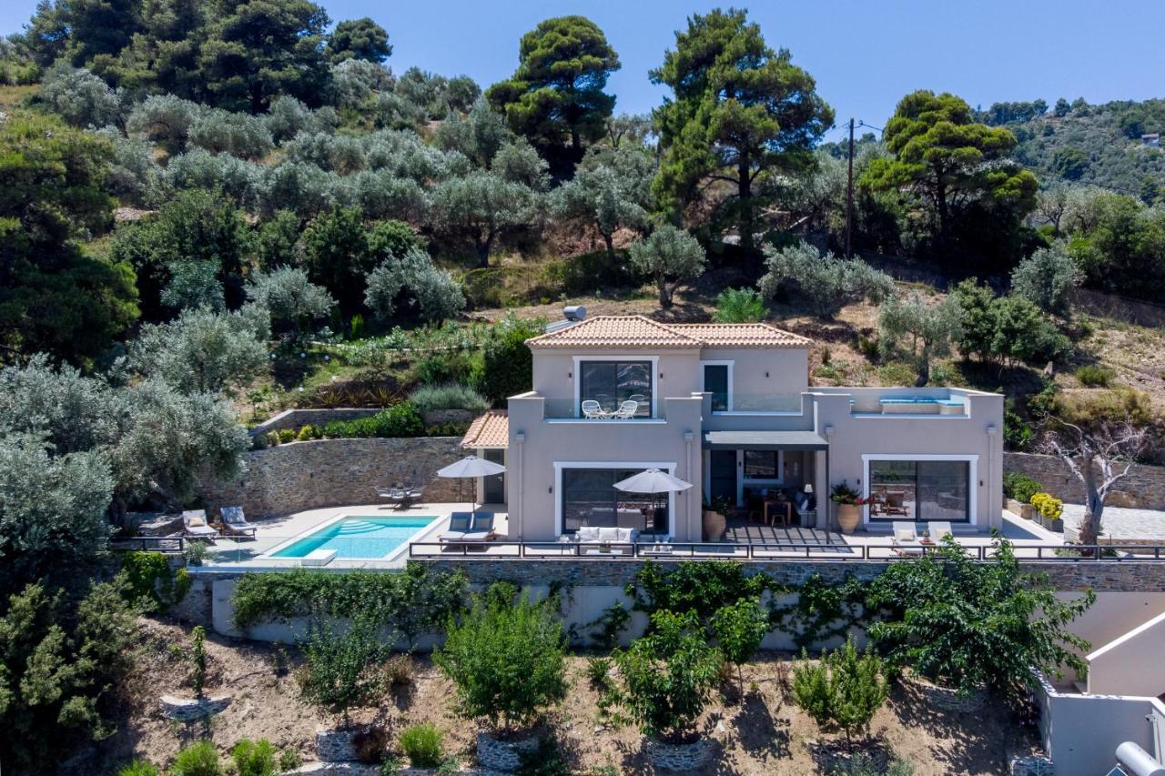 Villa Antigone Luxury Retreat 斯科派洛斯 外观 照片