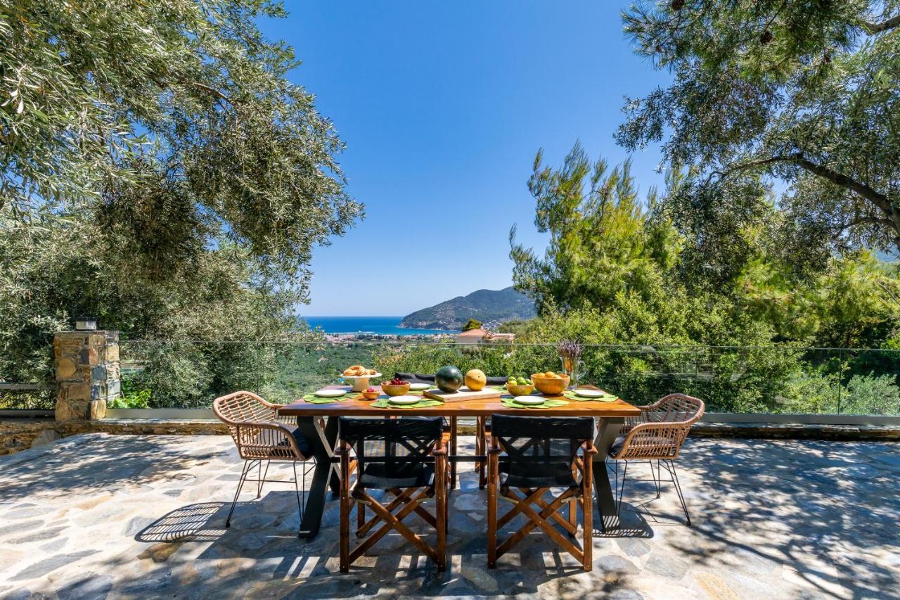 Villa Antigone Luxury Retreat 斯科派洛斯 外观 照片