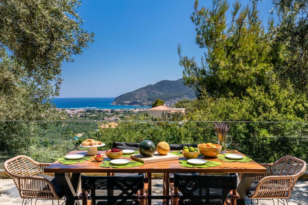 Villa Antigone Luxury Retreat 斯科派洛斯 外观 照片