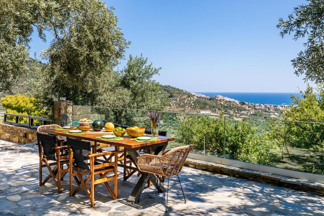Villa Antigone Luxury Retreat 斯科派洛斯 外观 照片