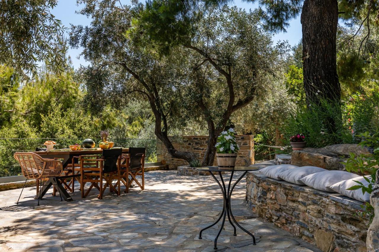 Villa Antigone Luxury Retreat 斯科派洛斯 外观 照片
