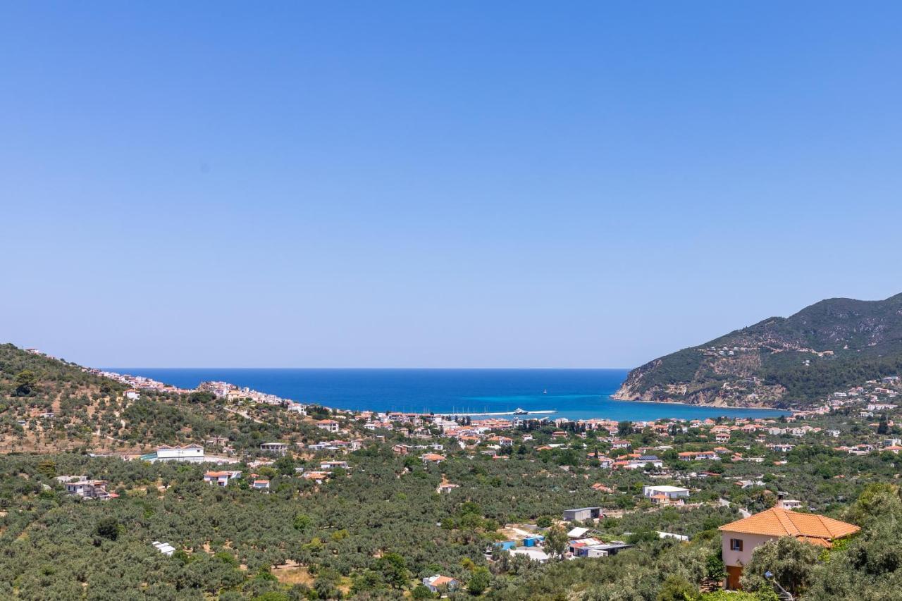 Villa Antigone Luxury Retreat 斯科派洛斯 外观 照片