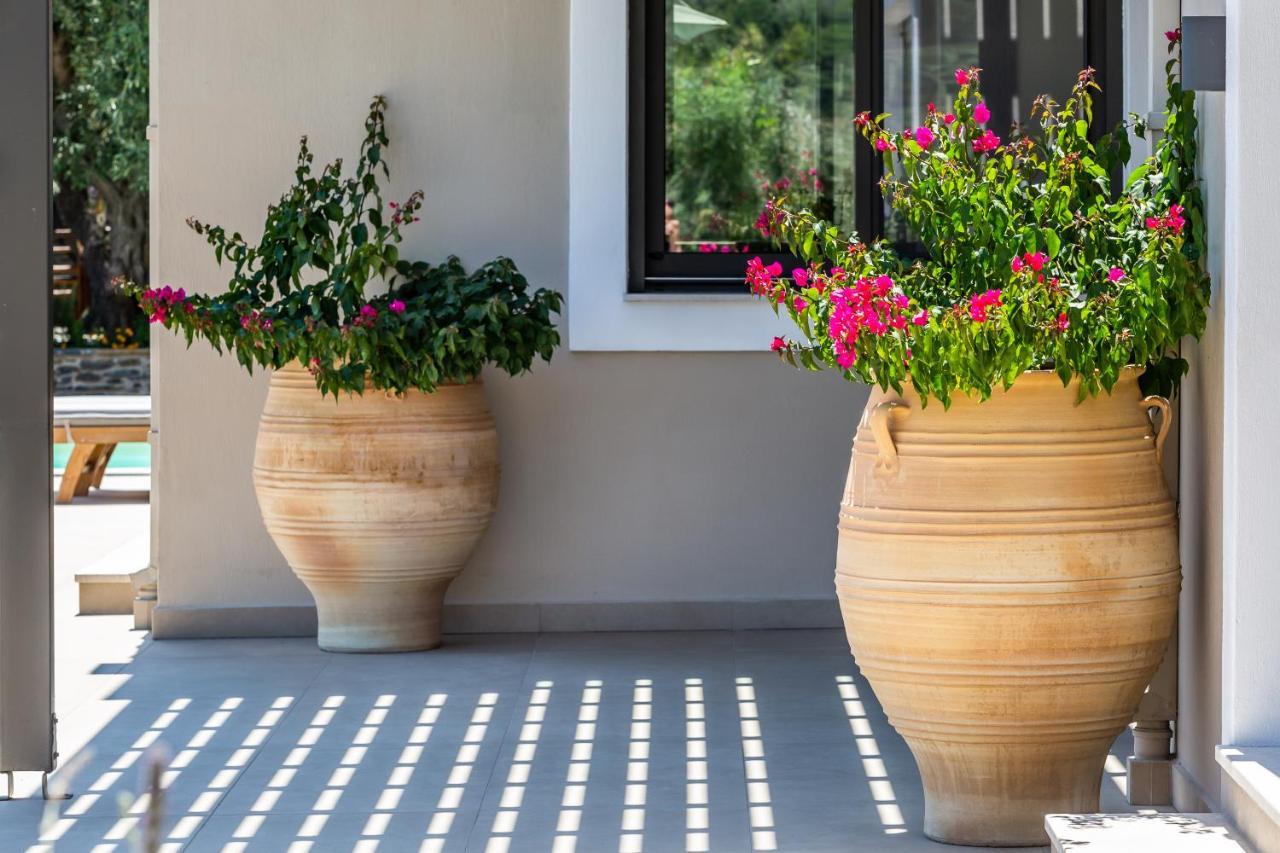 Villa Antigone Luxury Retreat 斯科派洛斯 外观 照片