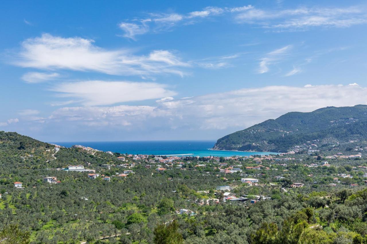 Villa Antigone Luxury Retreat 斯科派洛斯 外观 照片